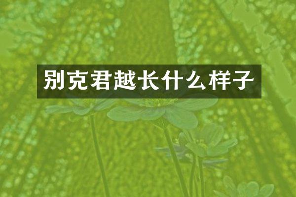 别克君越长什么样子