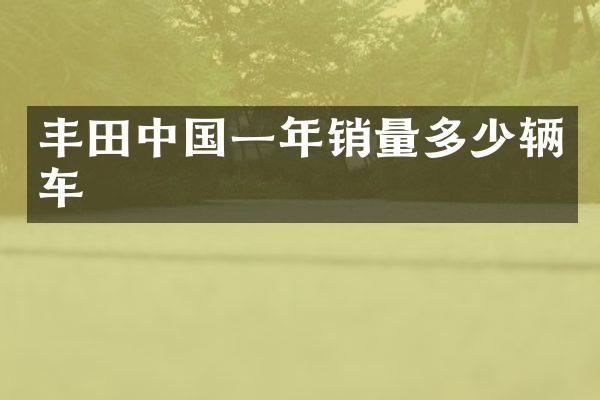 丰国一年销量多少辆车