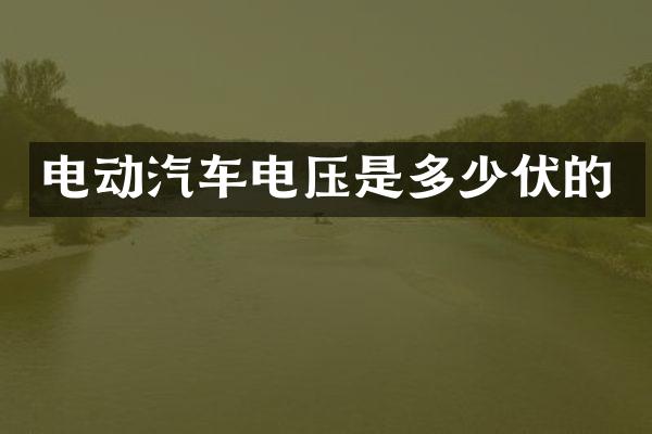 电动汽车电压是多少伏的