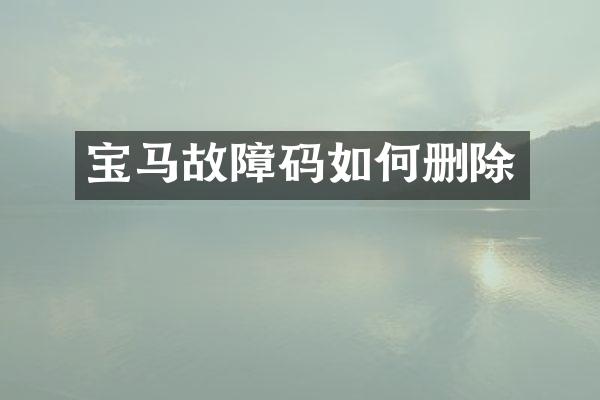 宝马故障码如何删除