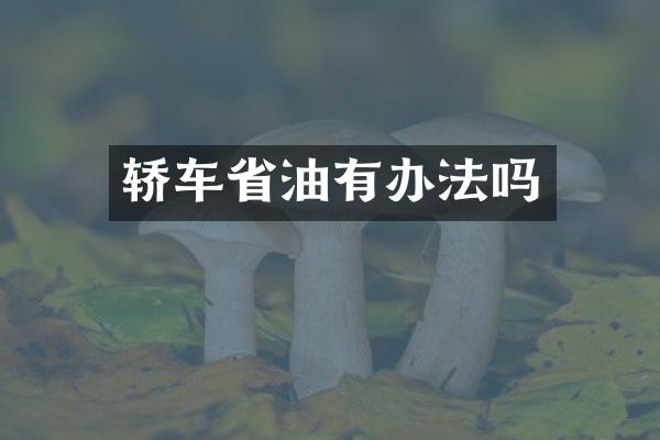 轿车省油有办法吗