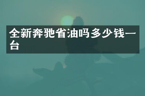 全新奔驰省油吗多少钱一台