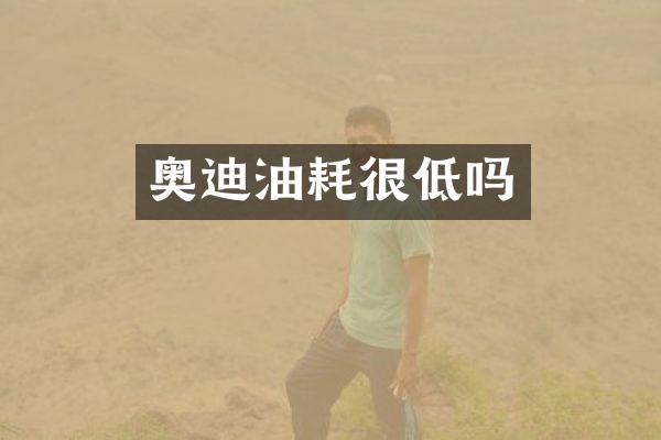 奥迪油耗很低吗