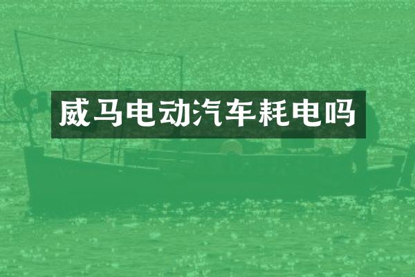 威马电动汽车耗电吗