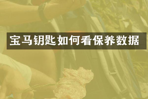 宝马钥匙如何看保养数据