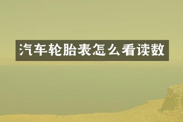 汽车轮胎表怎么看读数