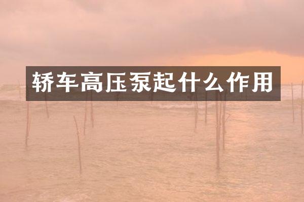 轿车高压泵起什么作用