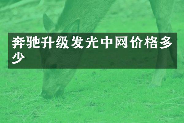 奔驰升级发光中网价格多少