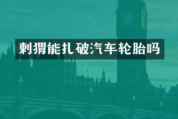 刺猬能扎破汽车轮胎吗