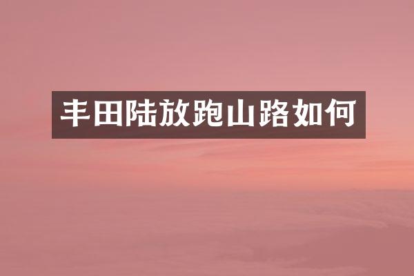 丰田陆放跑山路如何