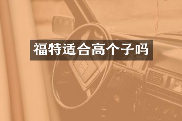 福特适合高个子吗