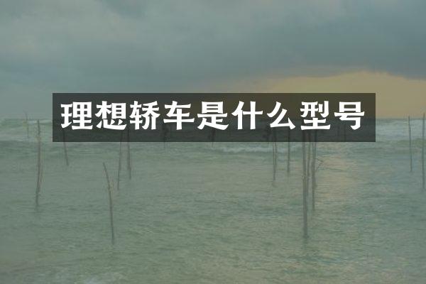 理想轿车是什么型号