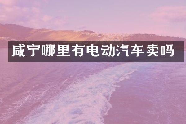 咸宁哪里有电动汽车卖吗