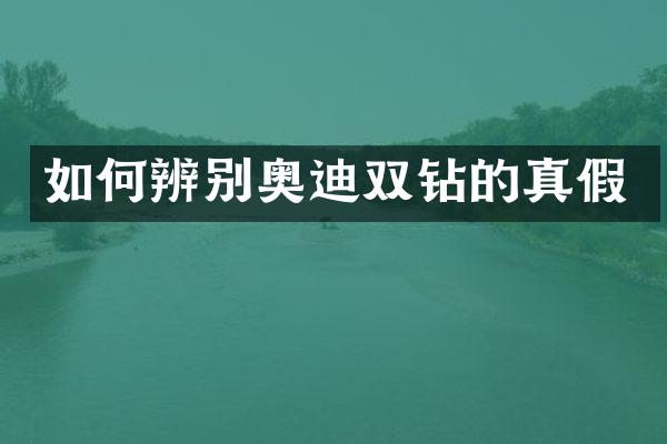 如何辨别奥迪双钻的真假
