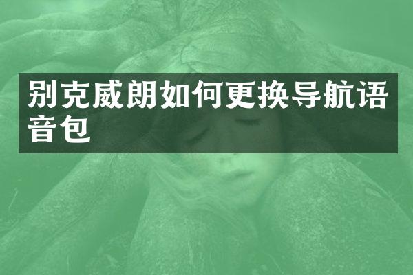 别克威朗如何更换导航语音包