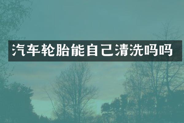 汽车轮胎能自己清洗吗吗
