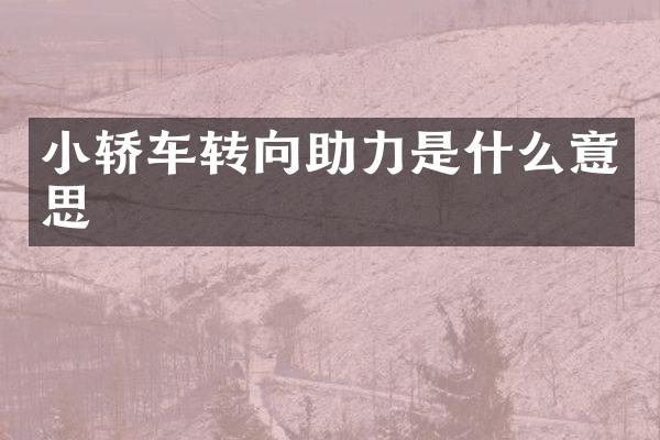 小轿车转向助力是什么意思