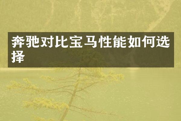 奔驰对比宝马性能如何选择