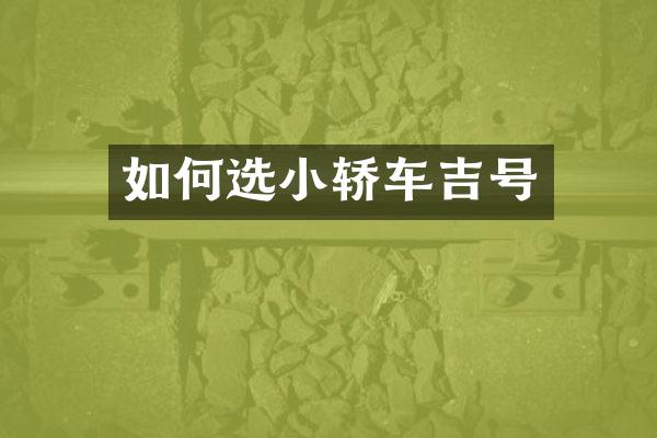 如何选小轿车吉号