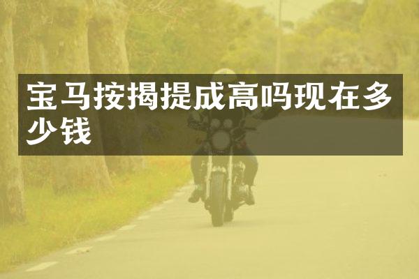 宝马按揭高吗现在多少钱