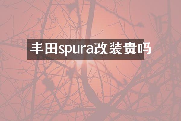 丰田spura改装贵吗