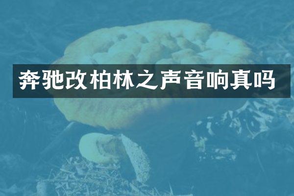 奔驰改柏林之声音响真吗