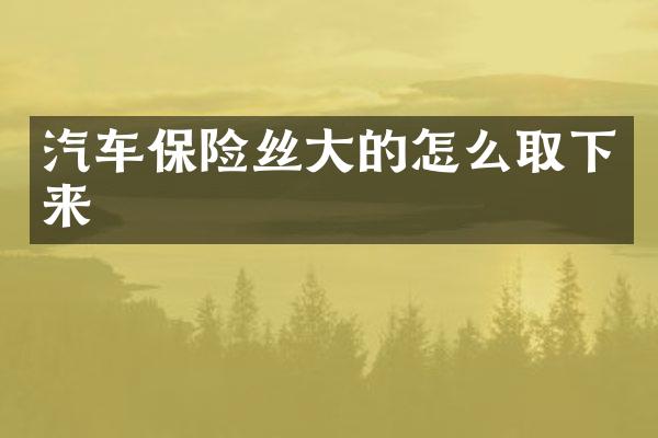 汽车保险丝大的怎么取下来