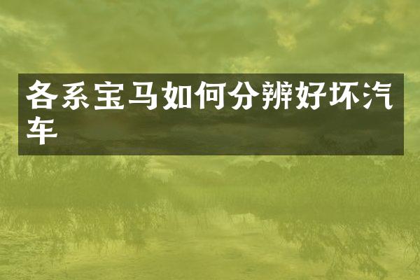 各系宝马如何分辨好坏汽车