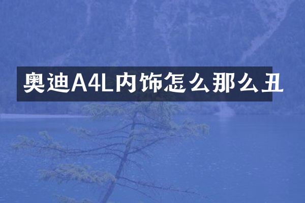 奥迪A4L内饰怎么那么丑