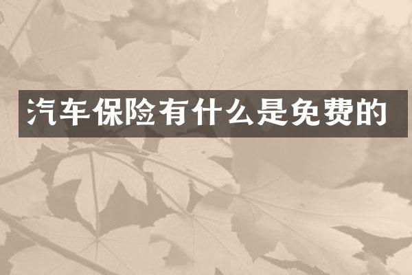 汽车保险有什么是免费的
