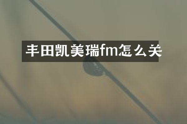 丰田凯美瑞fm怎么关