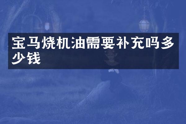 宝马烧机油需要补充吗多少钱