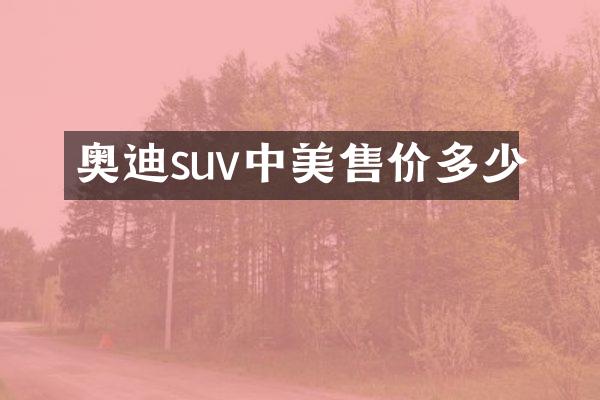 奥迪suv中美售价多少