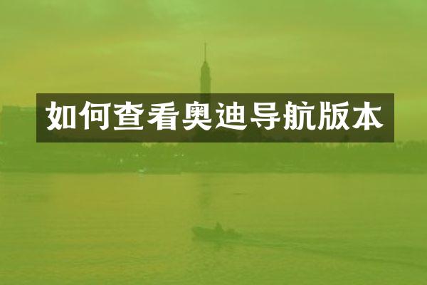 如何查看奥迪导航版本