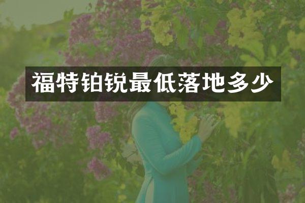 福特铂锐最低落地多少