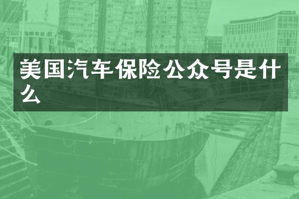 美国汽车保险公众号是什么