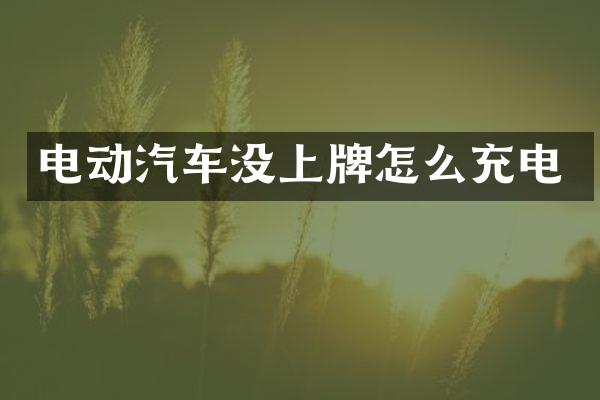 电动汽车没上牌怎么充电