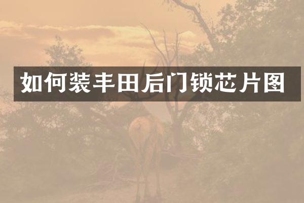 如何装丰田后门锁芯片图