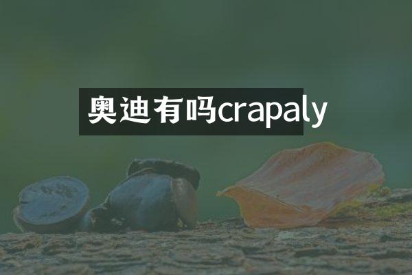 奥迪有吗crapaly