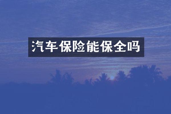 汽车保险能保全吗