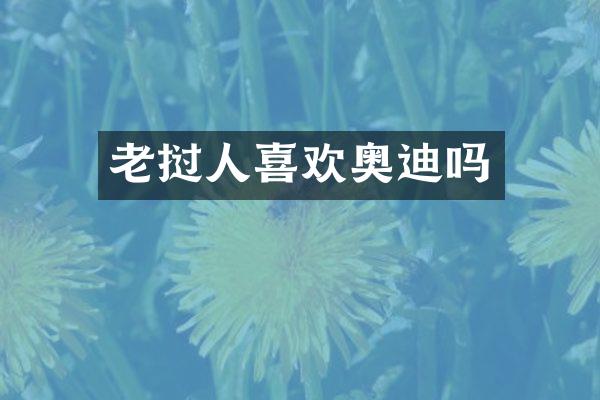 老挝人喜欢奥迪吗