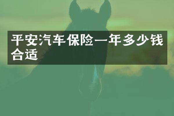 平安汽车保险一年多少钱合适