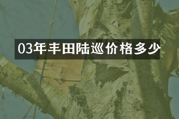03年丰田陆巡价格多少