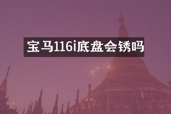 宝马116i底盘会锈吗