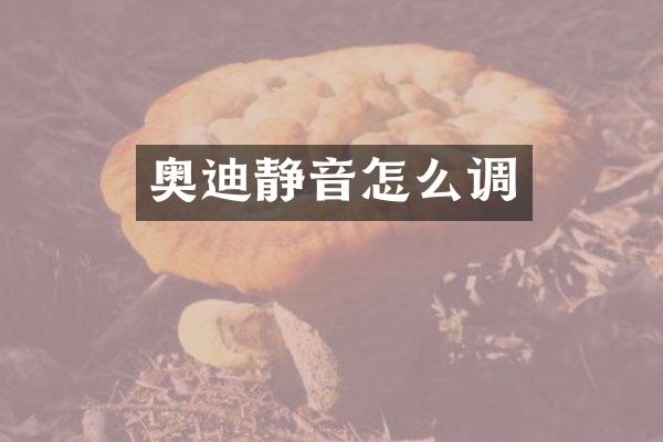 奥迪静音怎么调