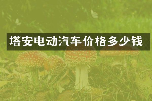 塔安电动汽车价格多少钱