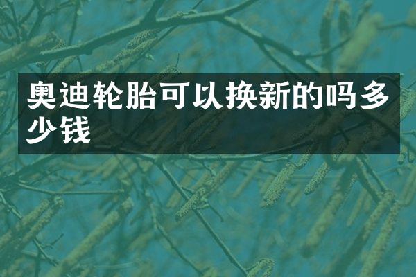 奥迪轮胎可以换新的吗多少钱