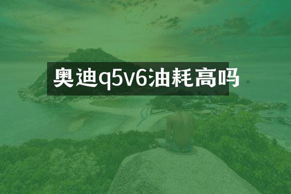 奥迪q5v6油耗高吗
