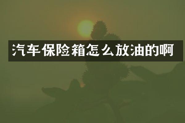 汽车保险箱怎么放油的啊