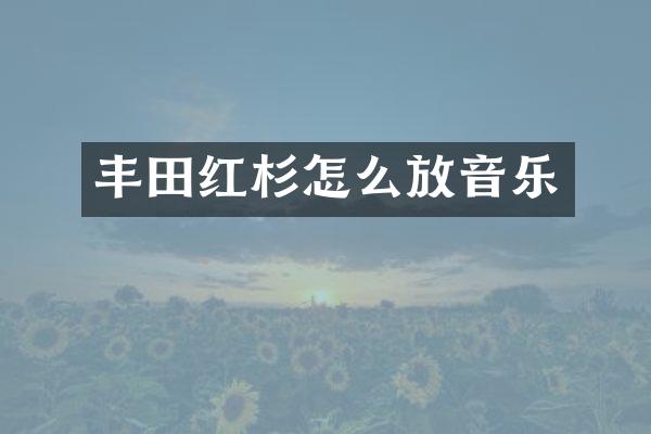 丰田红杉怎么放音乐